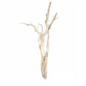 Ghostwood Natural - 150 cm